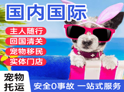 成都天府空运公司国际宠物托运 【国